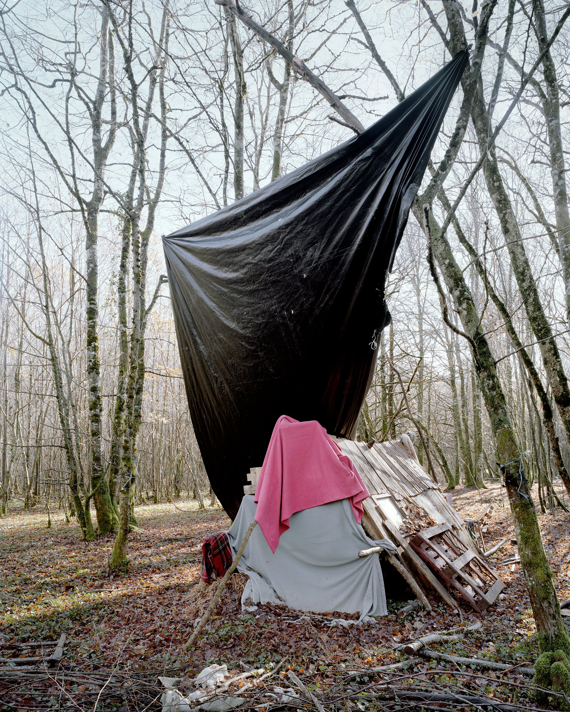 Bure, or Life in the Woods — ZAD du Bois Lejuc, Bure, France, 2017