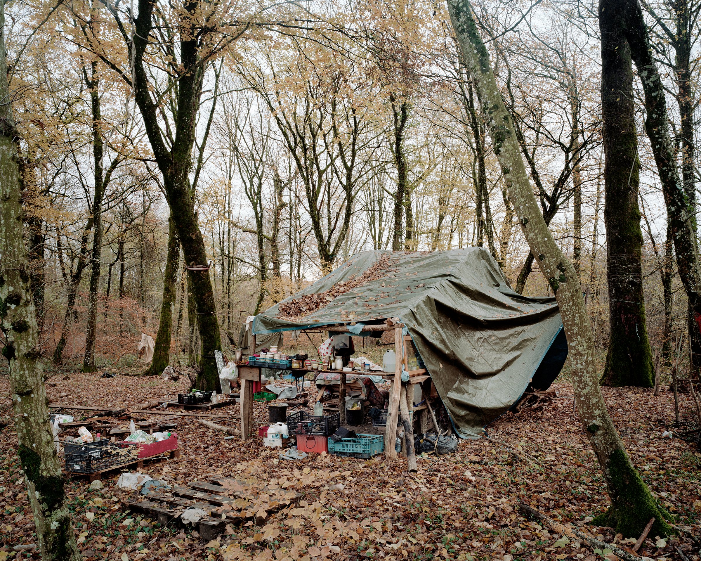 Bure, or Life in the Woods — ZAD du Bois Lejuc, Bure, France, 2017