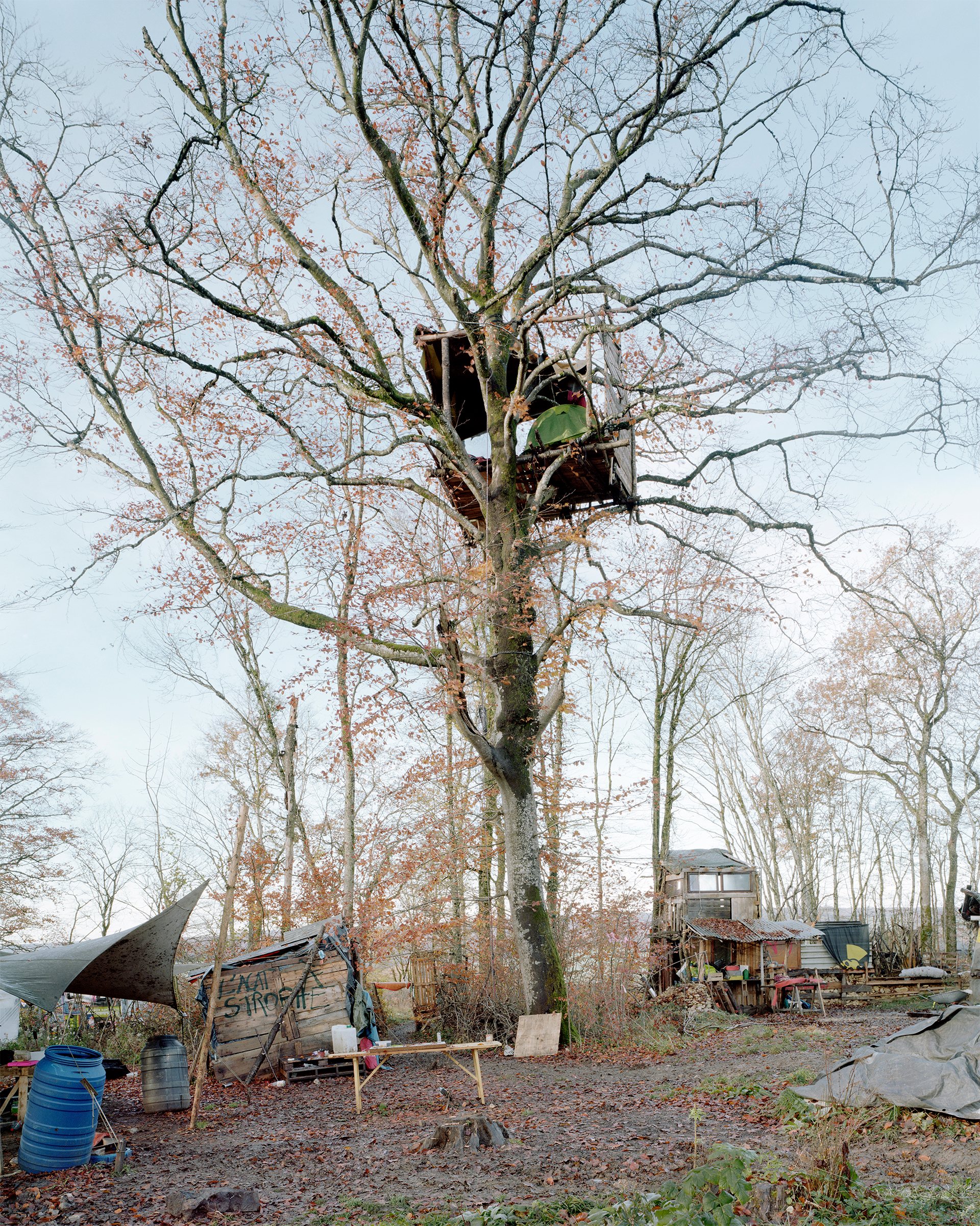 Bure, or Life in the Woods — ZAD du Bois Lejuc, Bure, France, 2017