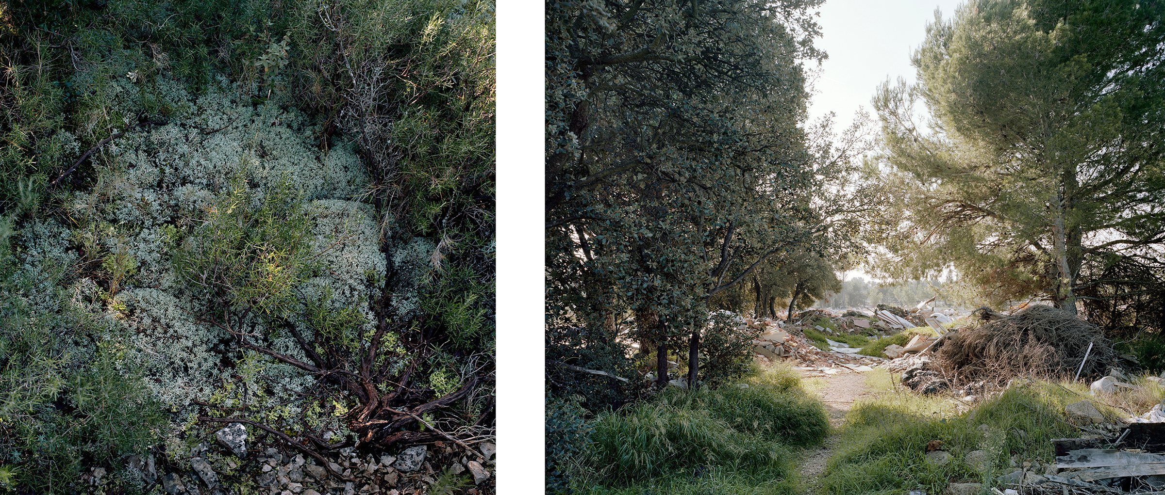 Épuisement / Erschöpfung — Plateau de l'Arbois, Pays d'Aix, France, 2019 – ongoing