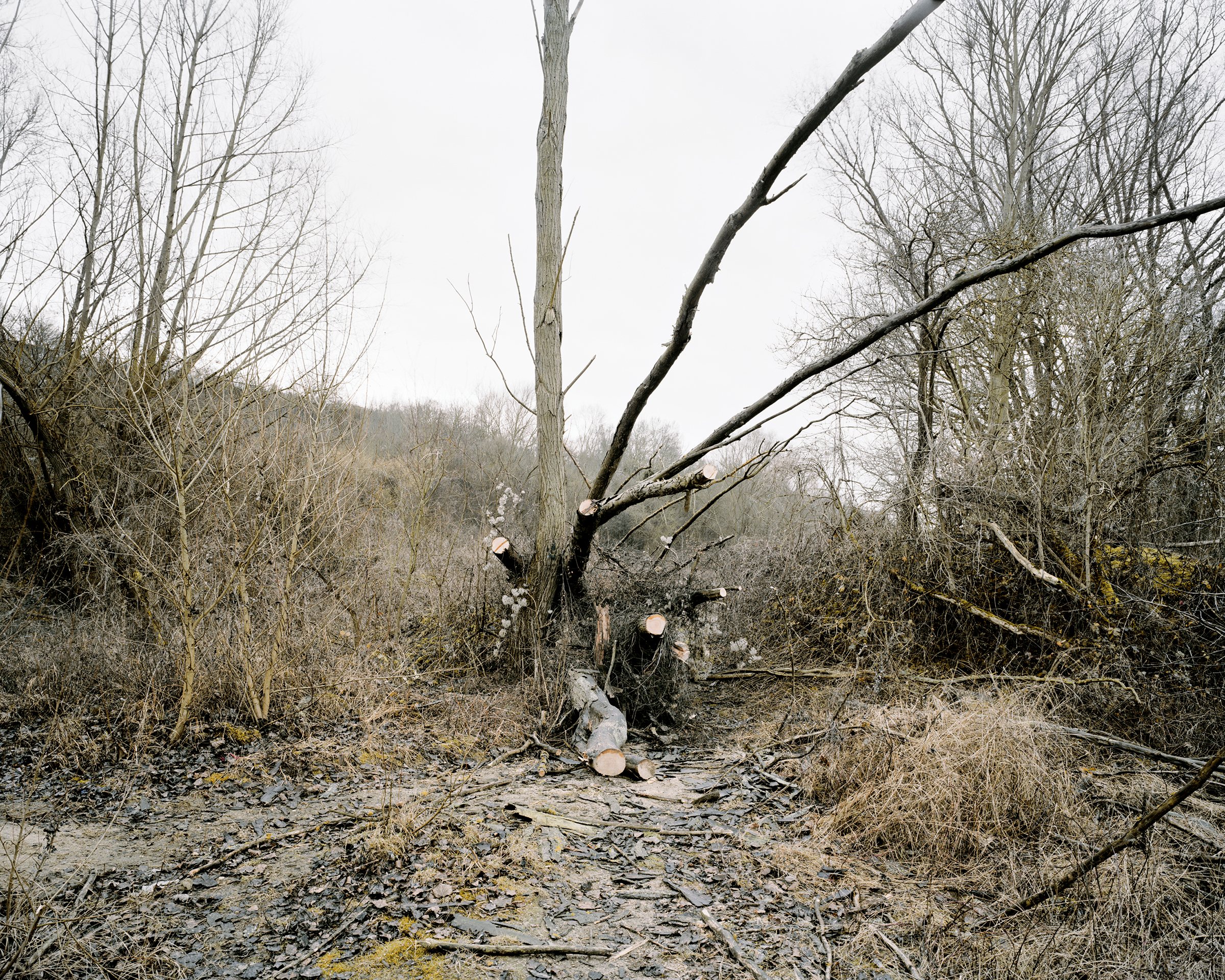 Holzwege — Creil, France, 2008