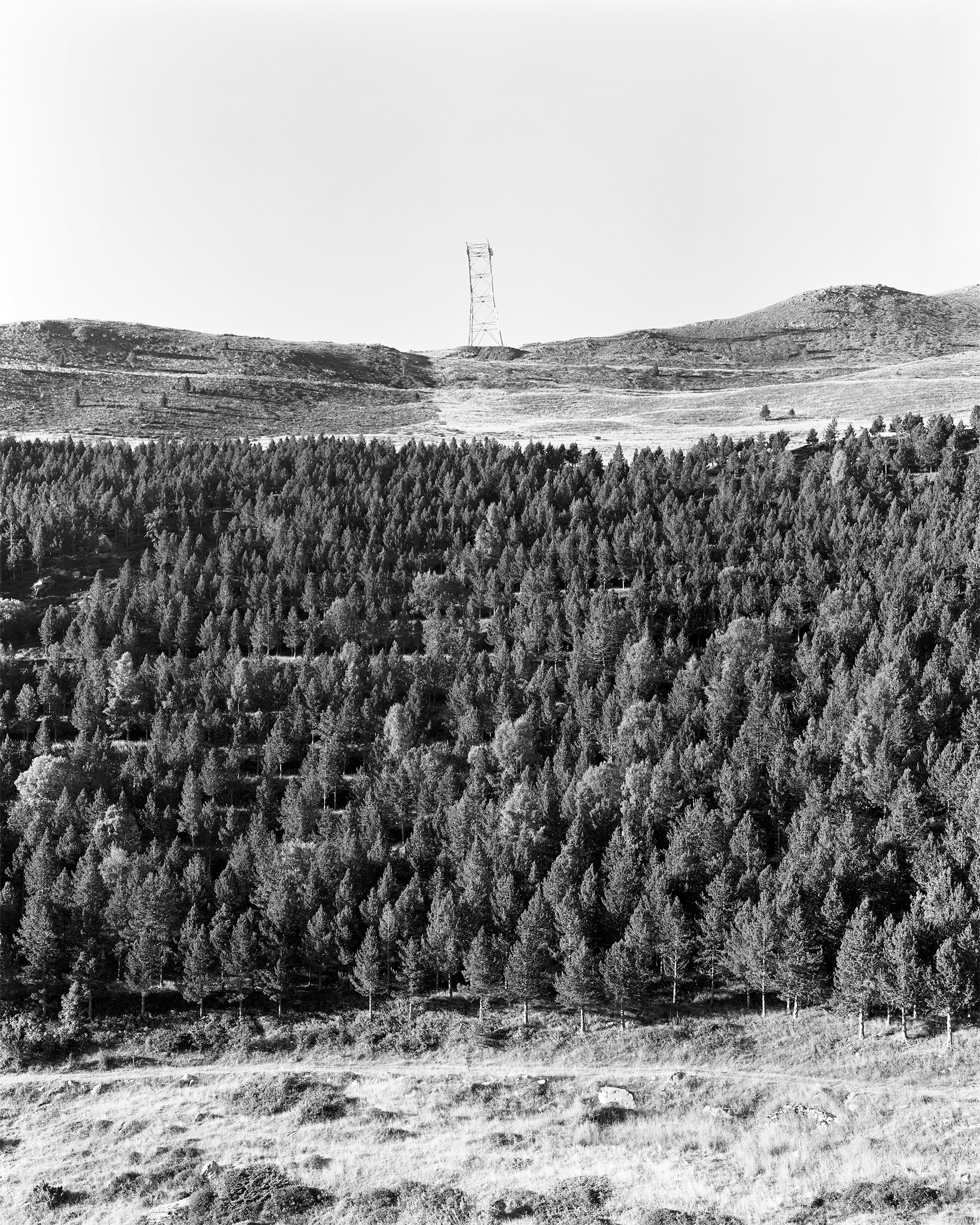 Vall Fosca, image 3