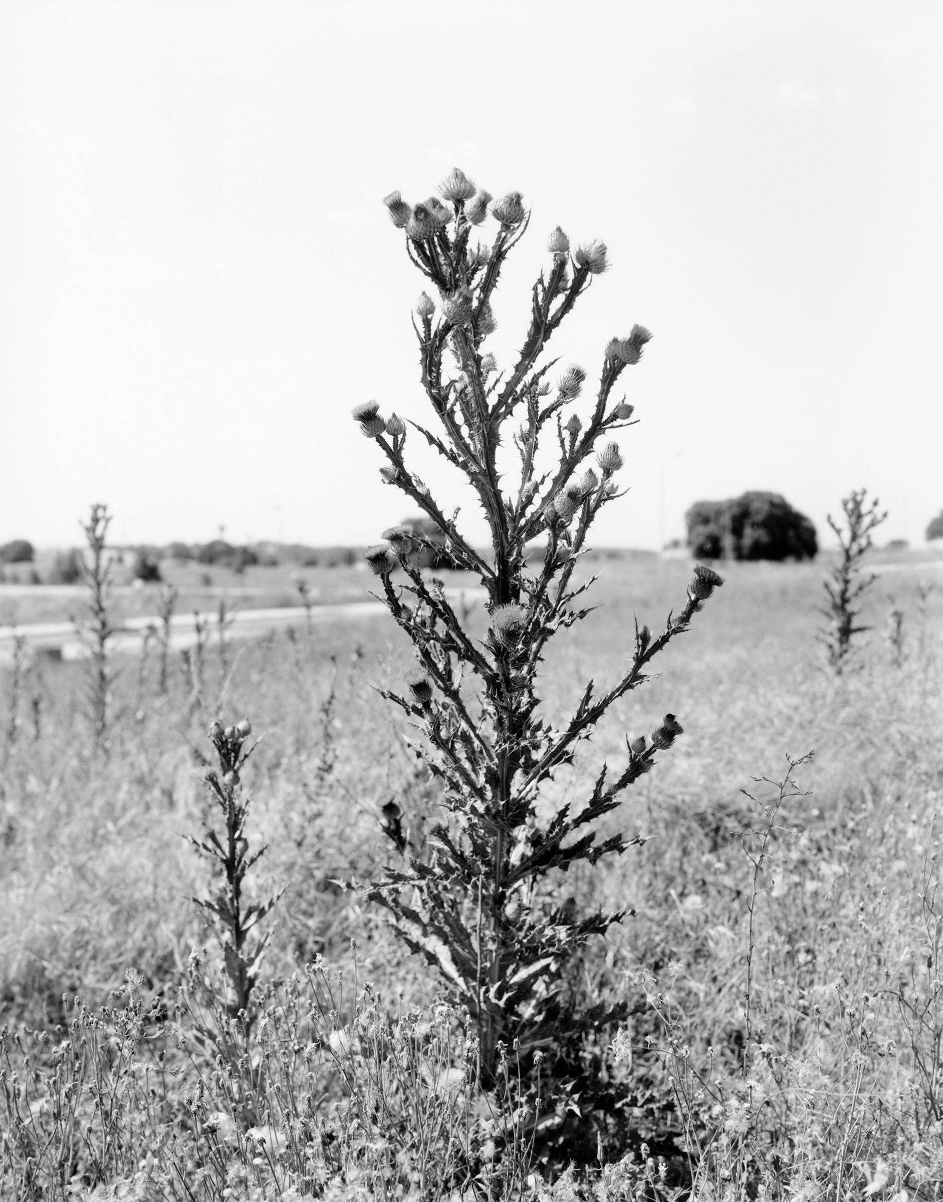 Villaflores, image 1