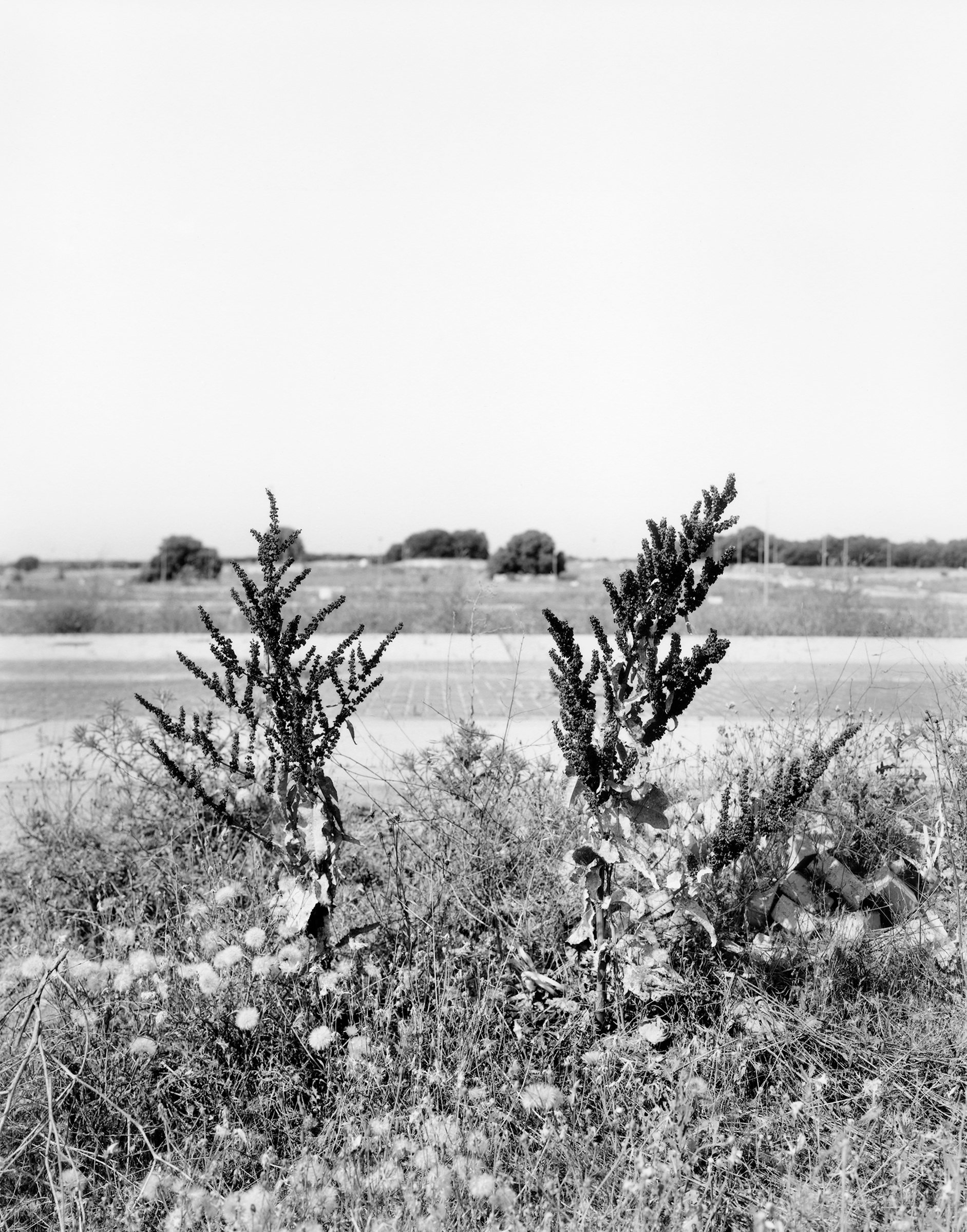 Villaflores, image 2