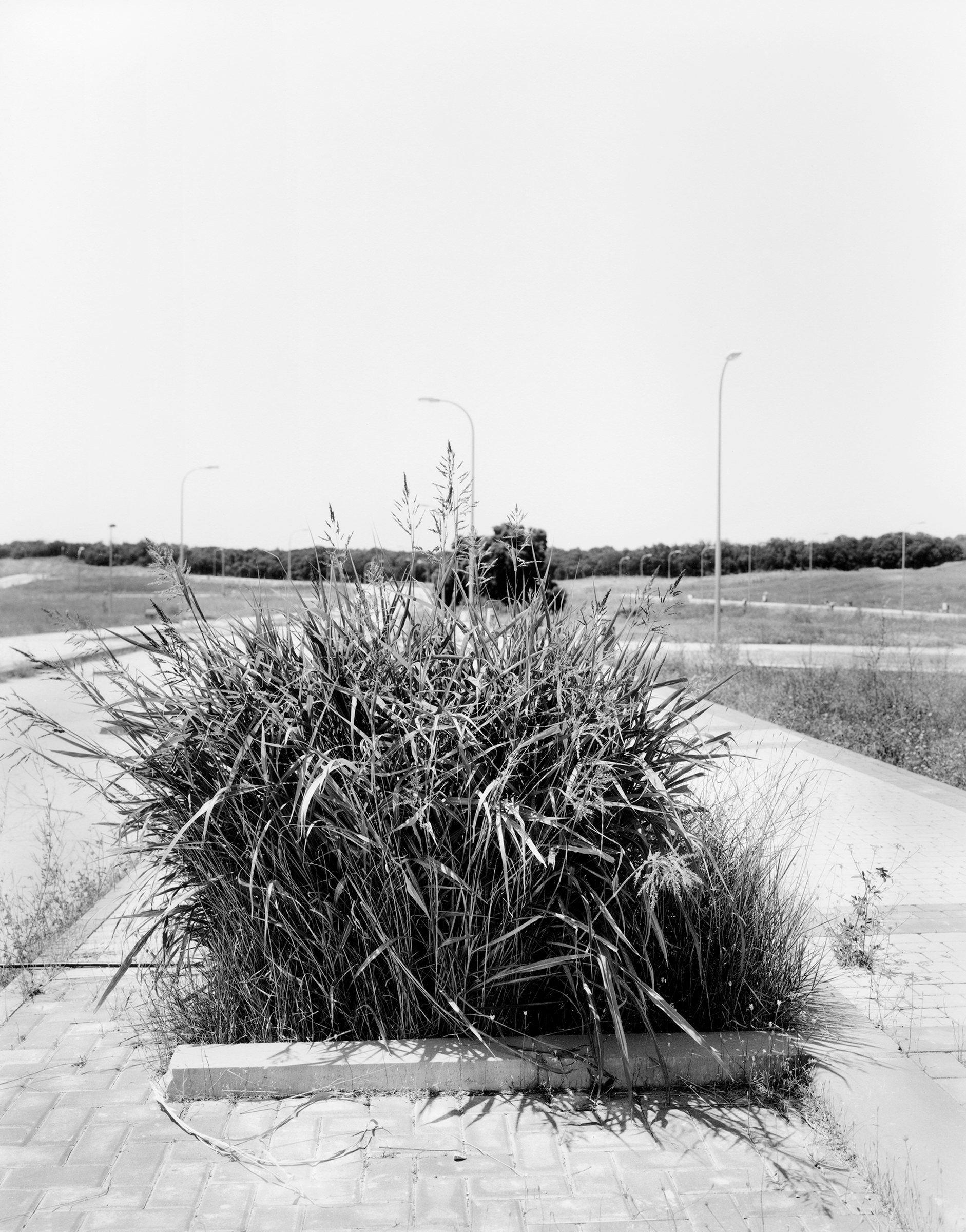 Villaflores, image 9
